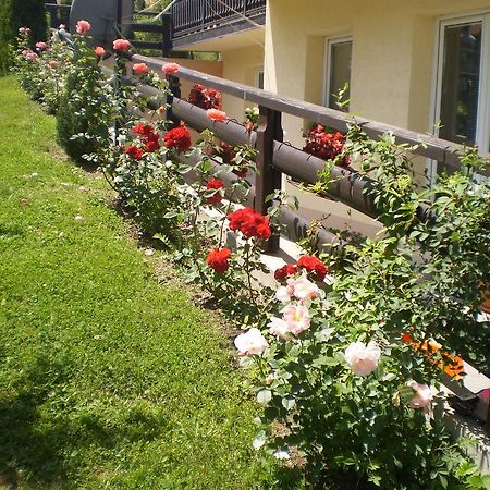 Apartments Vila Velickovic Zlatibor Exterior foto