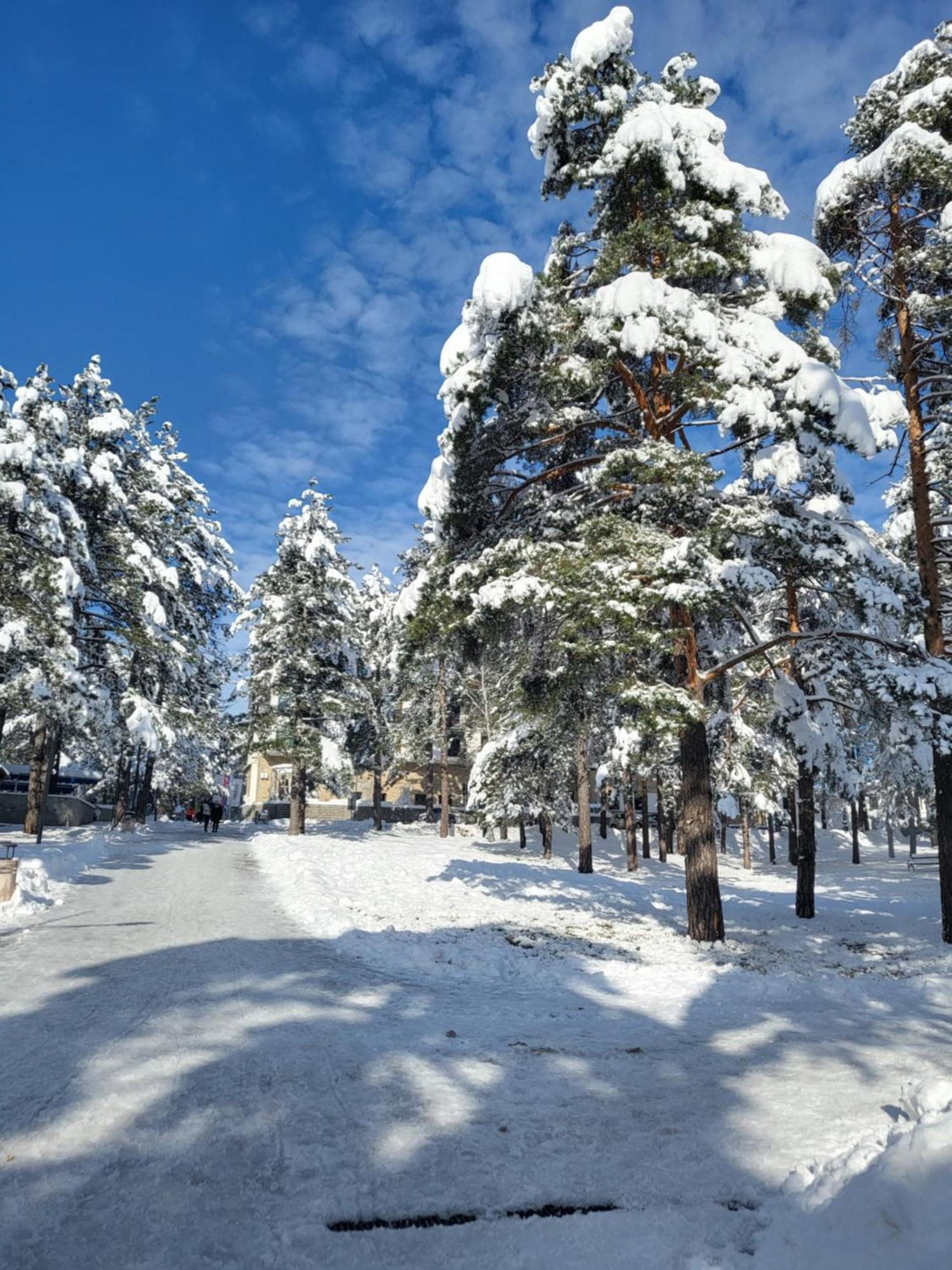 Apartments Vila Velickovic Zlatibor Exterior foto