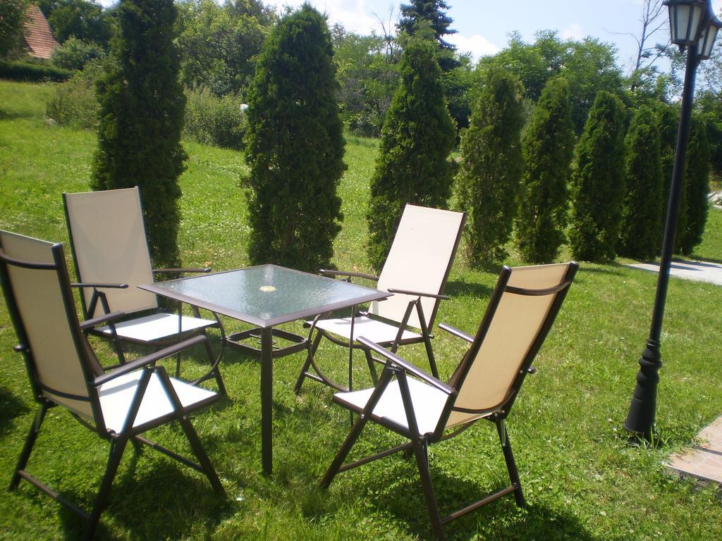 Apartments Vila Velickovic Zlatibor Exterior foto