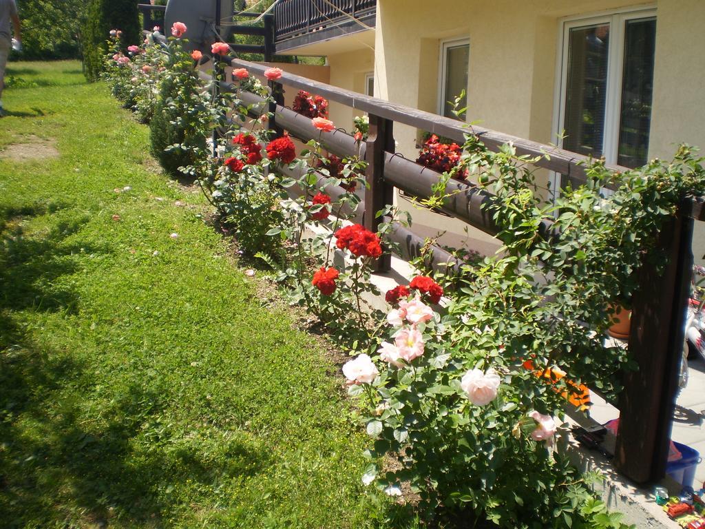 Apartments Vila Velickovic Zlatibor Exterior foto