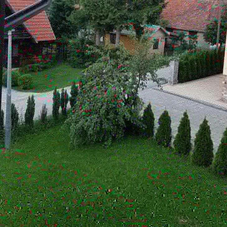 Apartments Vila Velickovic Zlatibor Exterior foto